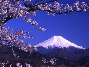 Fuji